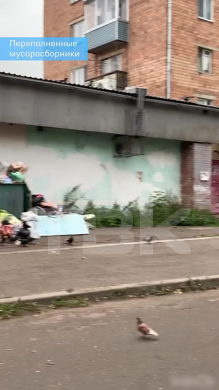 «Мусорные» воспоминания из детства