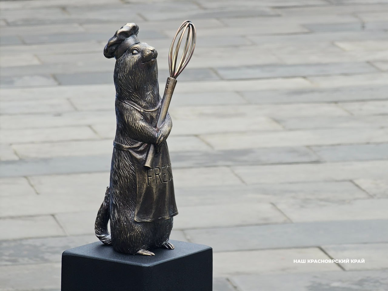В Красноярске появился новый бронзовый суслик