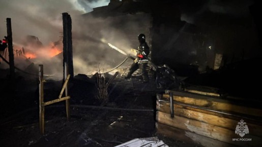 В деревне Новая Солянка у одного из известных сельских птицеводов сгорели 340 голубей и 42 курицы