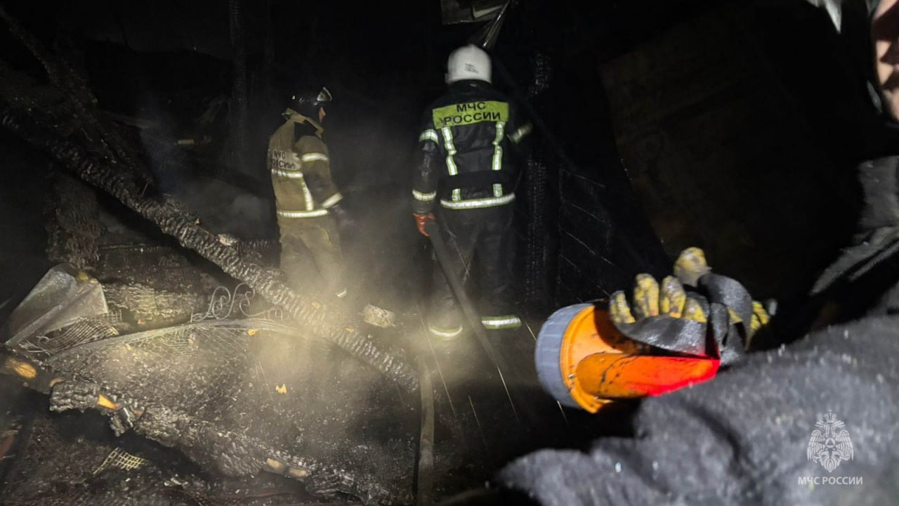 382 домашние птицы погибли на пожаре в Рыбинском районе 382 домашние птицы погибли на пожаре в Рыбинском районе