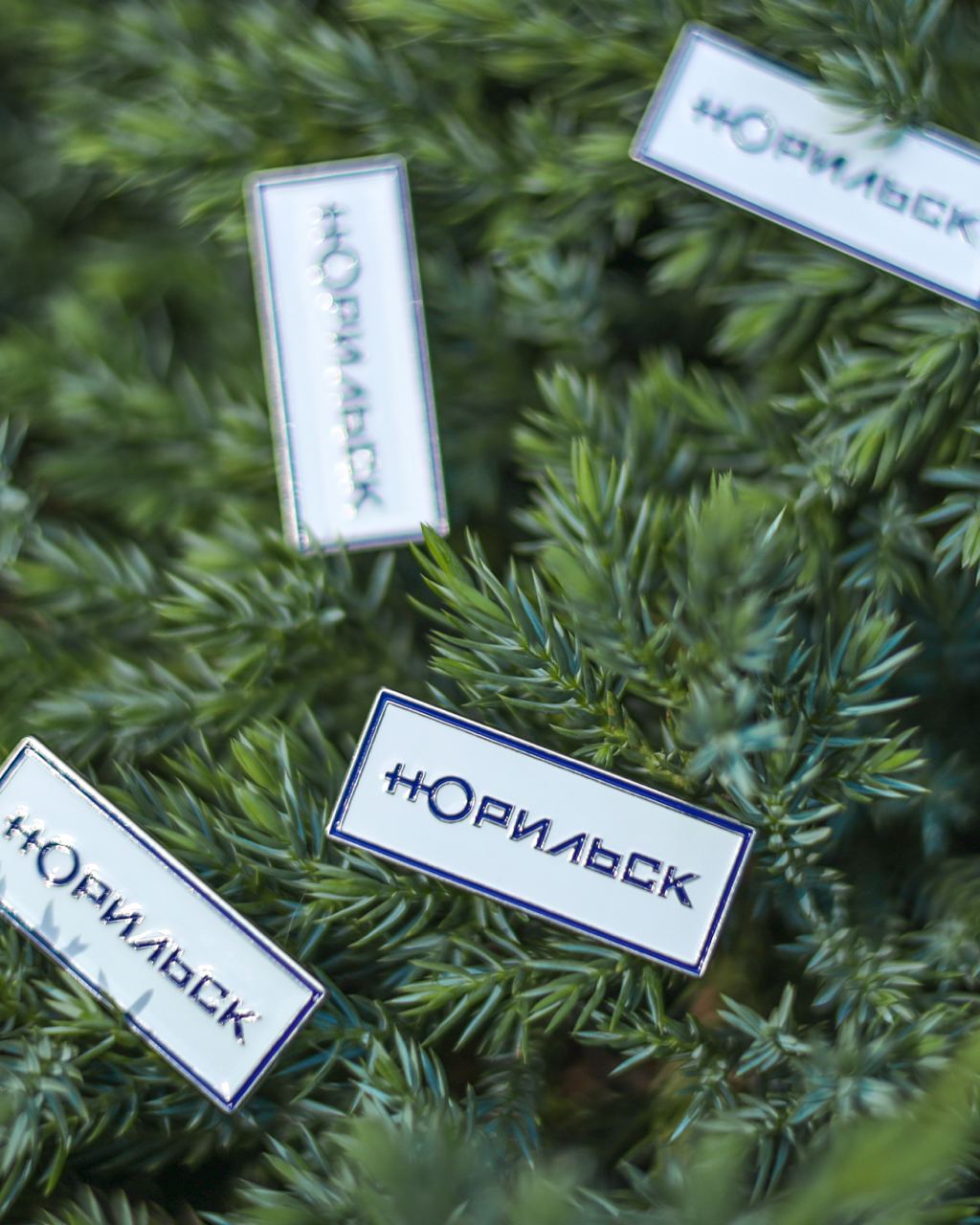 Поздравляем Норильск с победой на международном конкурсе!