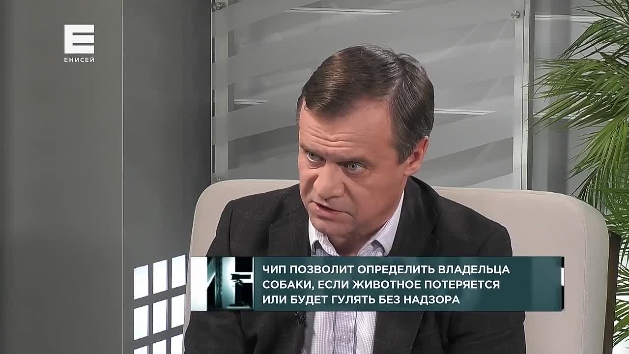 Жителей края обяжут чипировать домашних собак