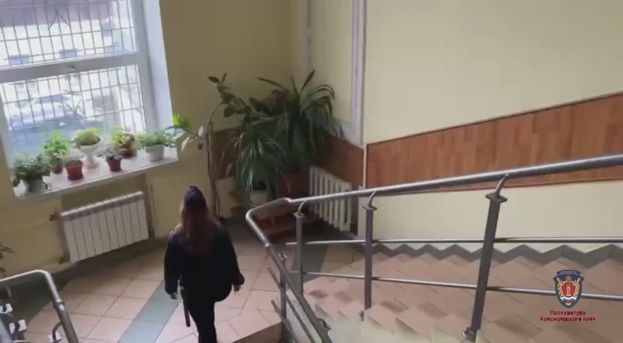 Мать, напавшую на трёхлетнего сына с ножом в Красноярске, отправили на принудительное лечение