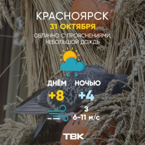 Погода на 31 октября. ТВК