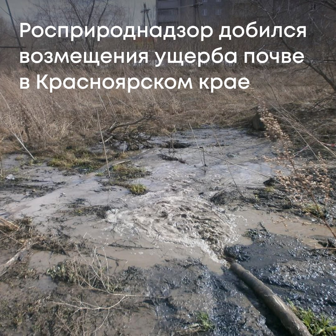 Суд поддержал требования Росприроднадзора к ГПКК «Центр развития коммунального комплекса» о возмещении вреда почве на сумму более 5 млн рублей в городе Назарово Красноярского края