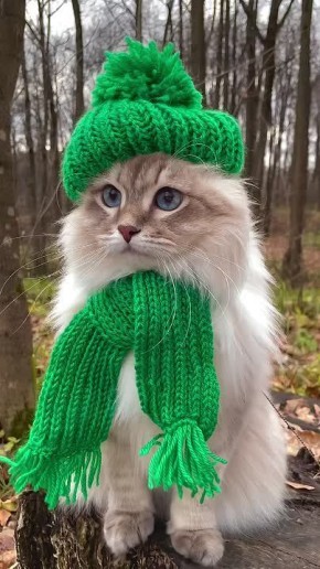 Осеннее настроение.... ...сильно подпортится, если ты заблудишься. Не хочешь так? Перед походом в лес предупреди близких, куда идешь и когда вернешься