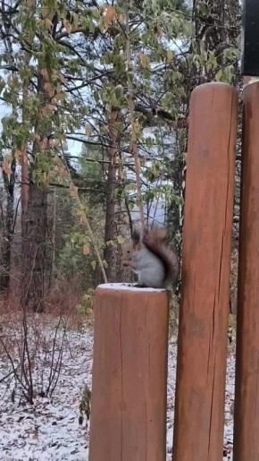 Сейчас бы хрумкать орешки, а не это вот всё