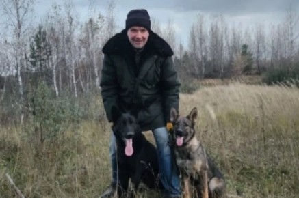 Стаи приносят деньги? Кому выгодно, чтобы по городам бегали бездомные собаки