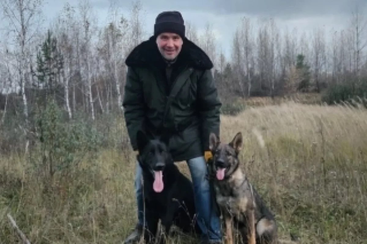 Стаи приносят деньги? Кому выгодно, чтобы по городам бегали бездомные собаки