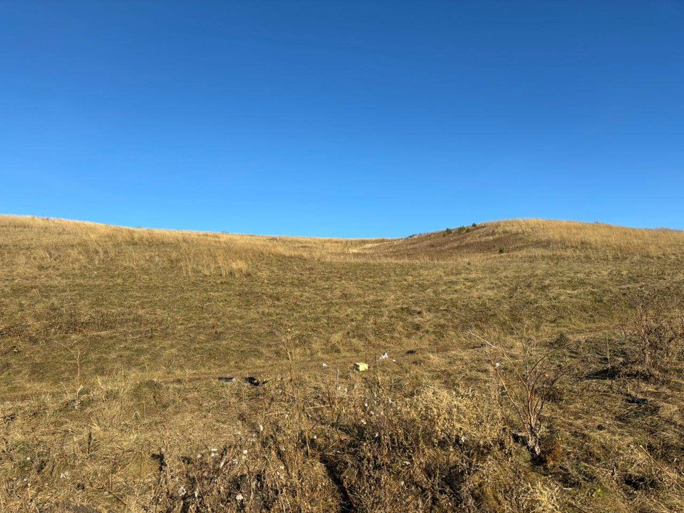 Глава СК России Александр Бастрыкин поручил возбудить уголовное дело в связи с обращением сотрудников одного из СМИ Красноярского края