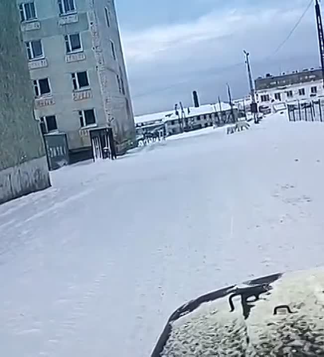 Умка с мамой заглянули в Диксон