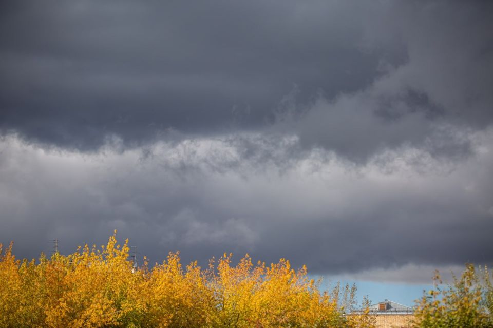 Сильный ветер скоростью до 25 м/с прогнозируют в Красноярском крае