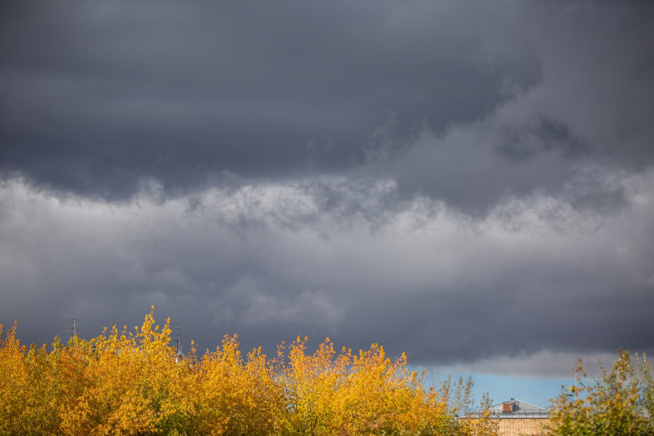 Сильный ветер скоростью до 25 м/с прогнозируют в Красноярском крае