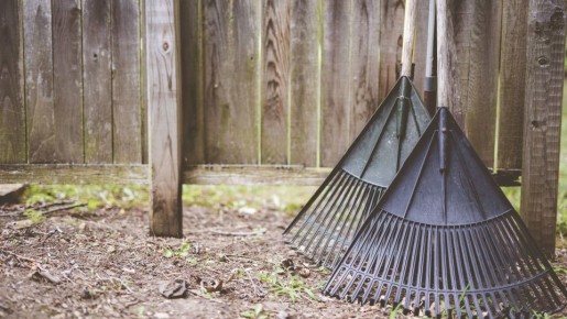 Опытные дачники осенью посыпают почву этим дешевым порошком: урожай выходит на зависть соседям