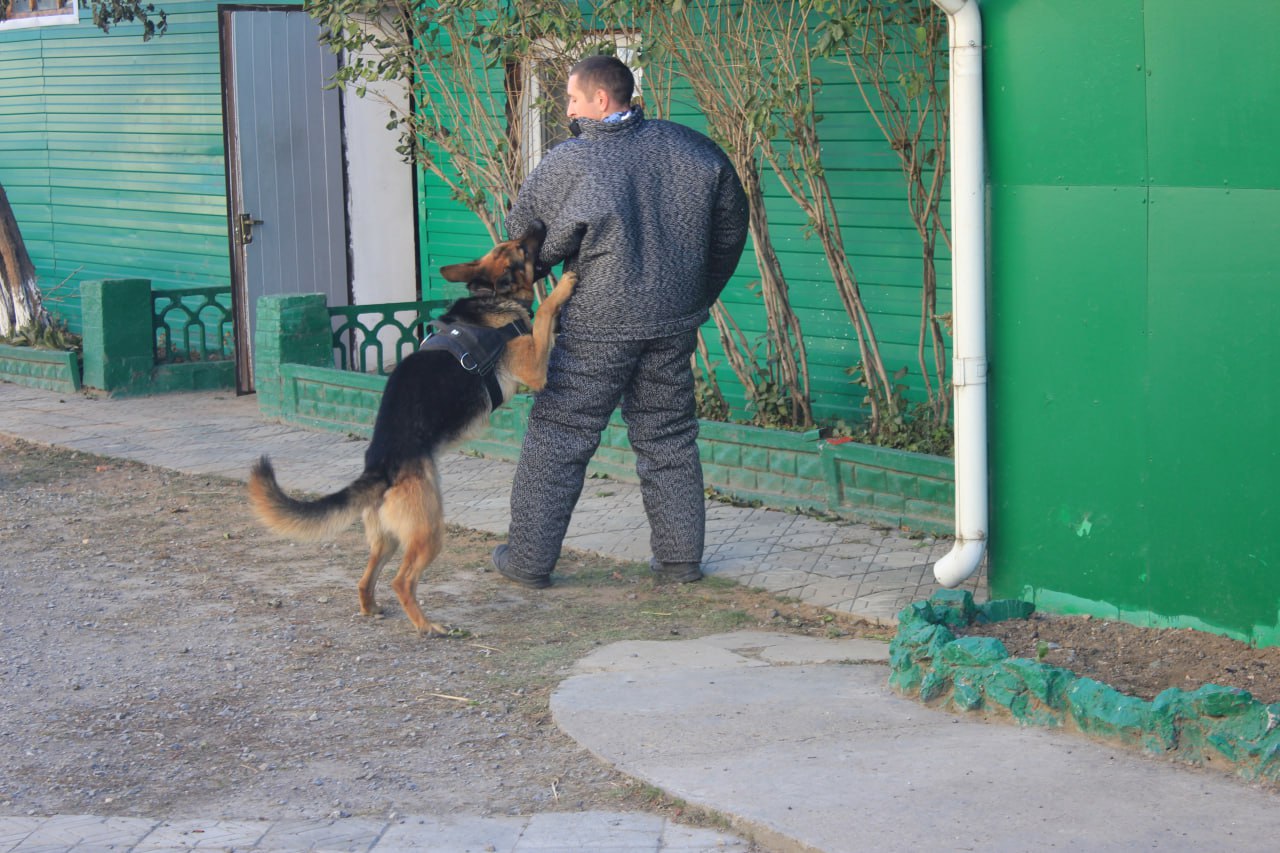 Сотрудников СИЗО-3 с Днем работников следственных изоляторов и тюрем поздравили кадеты и преподаватели Ачинского кадетского корпуса имени Г.Г. Голубева Сотрудников СИЗО-3 с Днем работников следственных изоляторов и тюрем поздравили кадеты и преподаватели Ачинского кадетского корпуса имени Г.Г. Голубева