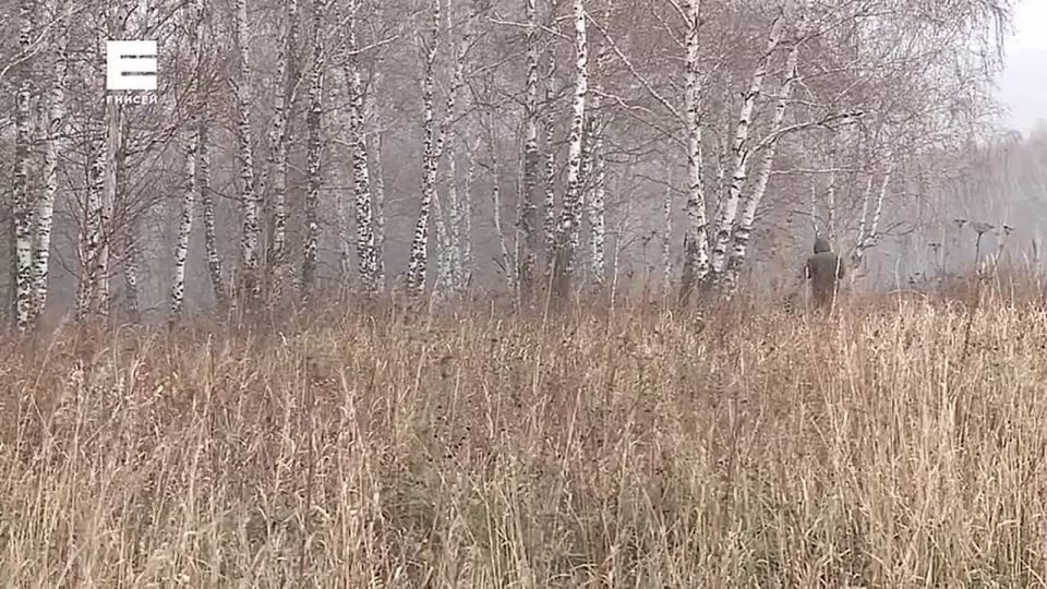 Три жителя края попали под уголовное дело за оскорбление родителей погибшего после нападения собак мальчика