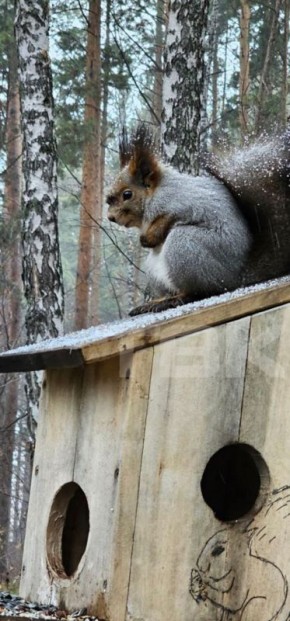 Когда проснулся и понял, что суббота рабочая