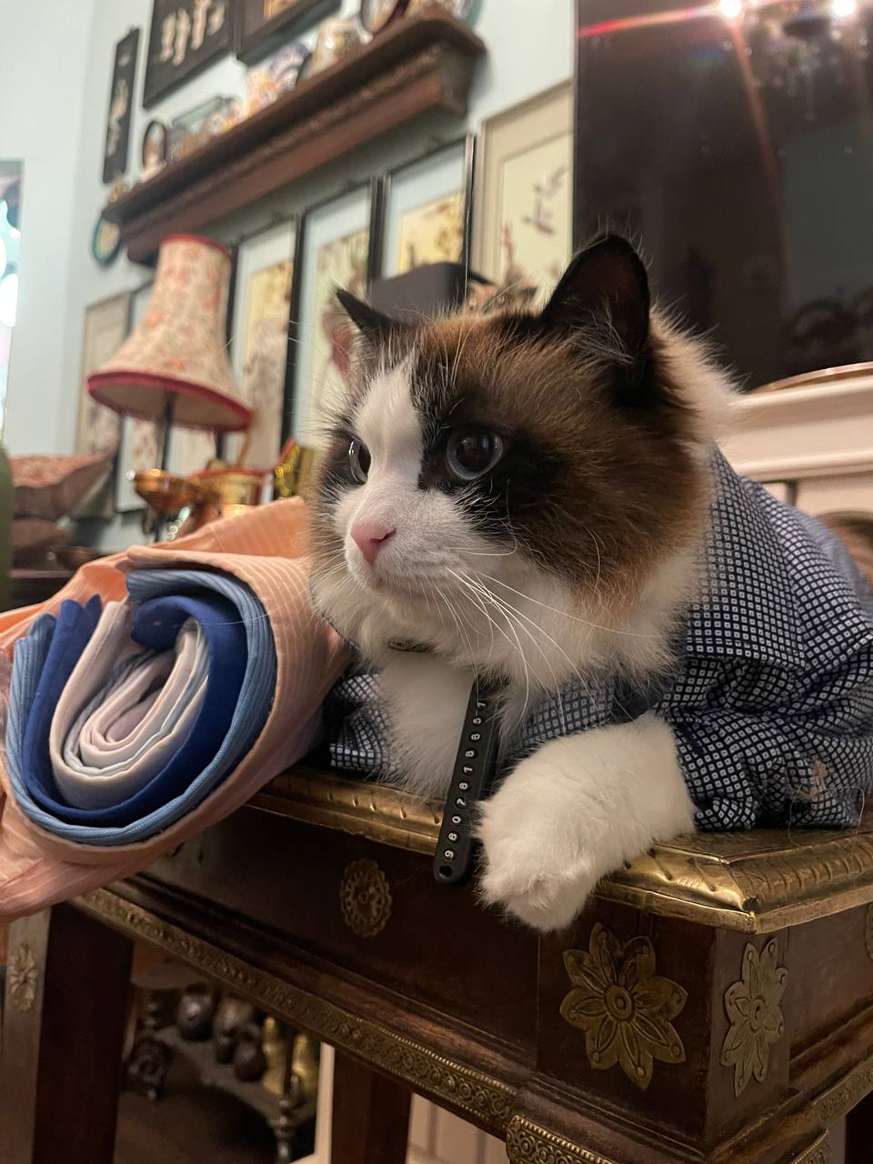 Доброе. Не понял, сегодня что, понедельник начинается в субботу В такую хорошую погоду идти на работу? Есть еще «пострадавшие»? Можно хотя бы в джинсах или рубашку надеть? Ваш озадаченный Иннокентий