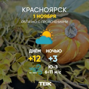 Погода на сегодня. ТВК