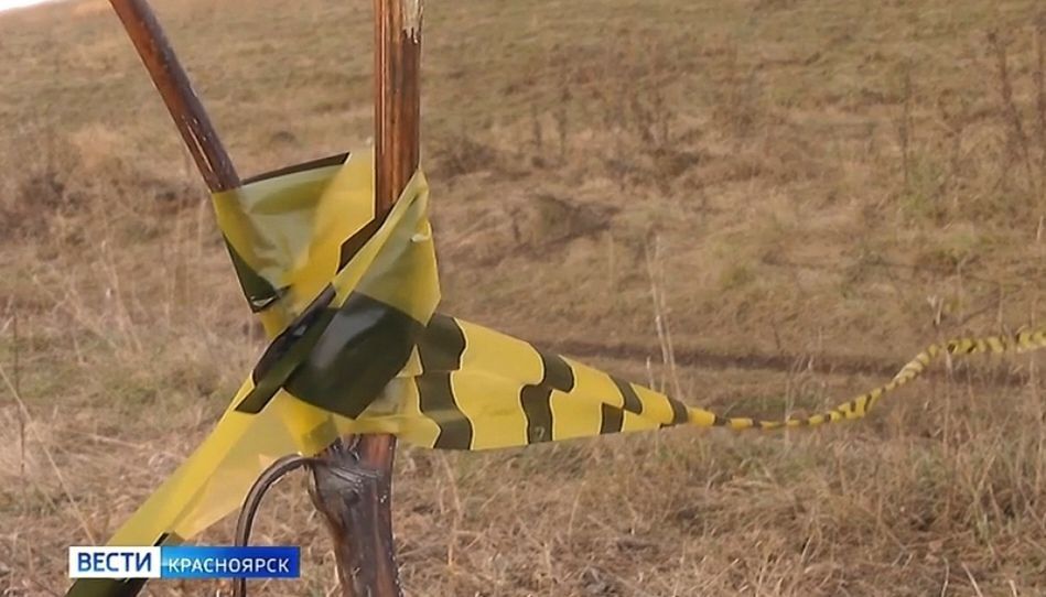 Троих жителей края осудят за оскорбления родителей мальчика, погибшего в результате нападения бездомных собак