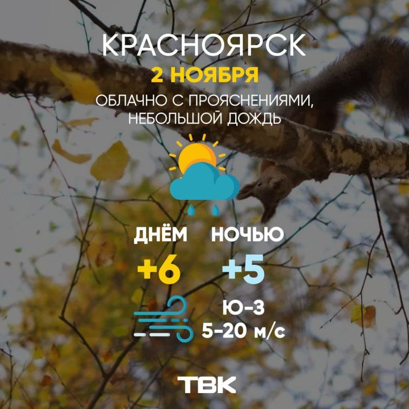 Погода на 2 ноября. ТВК