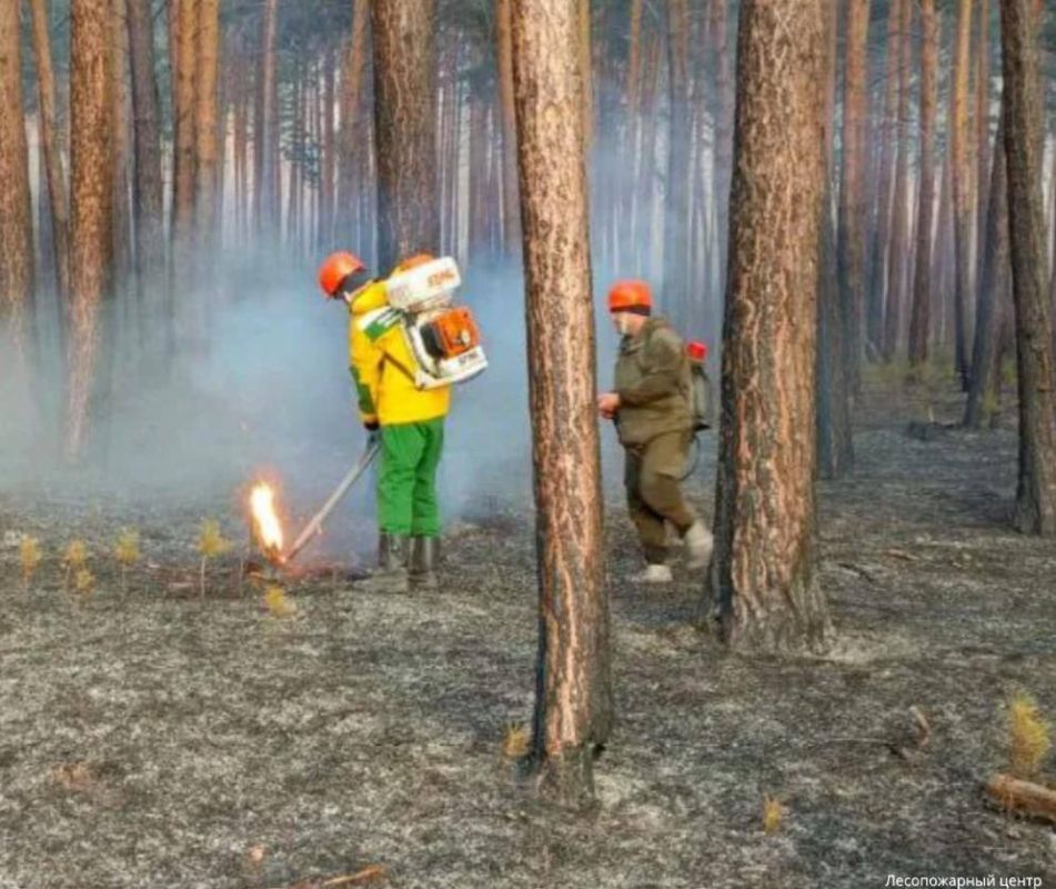 ВИНОВНИК ЛЕСНОГО ПОЖАРА ВЫПЛАТИТ ШТРАФ В 50 ТЫСЯЧ РУБЛЕЙ И 900 ТЫСЯЧ КОМПЕНСАЦИИ