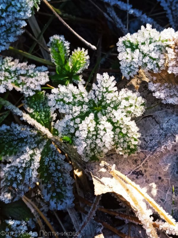 Какой будет ноябрь?. Похолодает уже в течение первой недели, говорят синоптики
