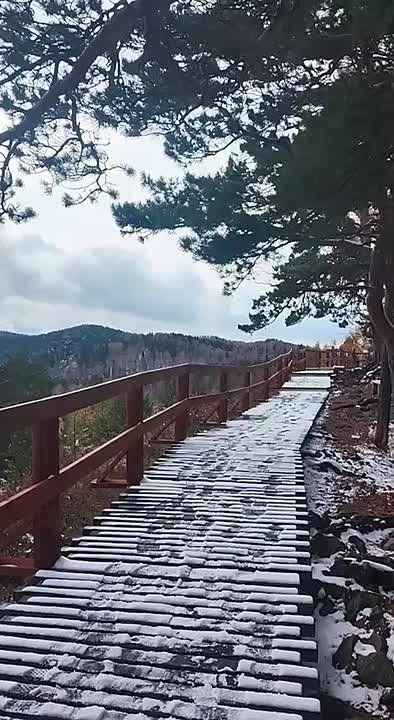 Погода на 3 ноября. ТВК