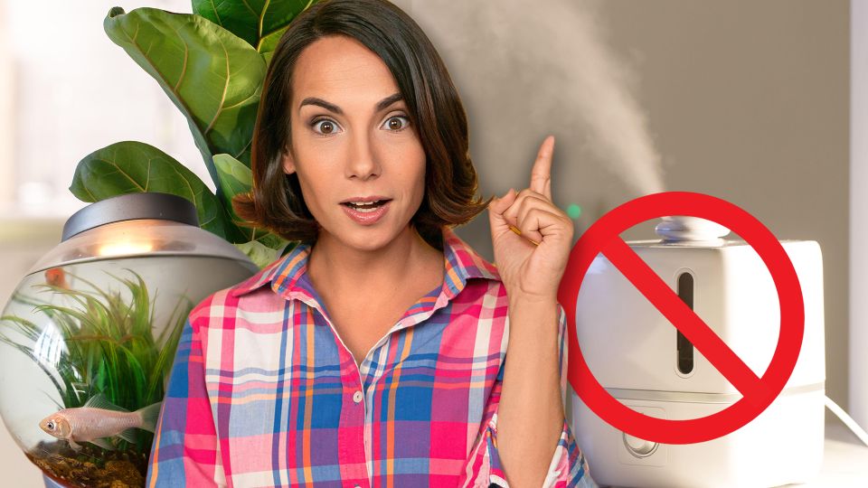 И увлажнитель не нужен: сухой воздух в квартире больше не проблема