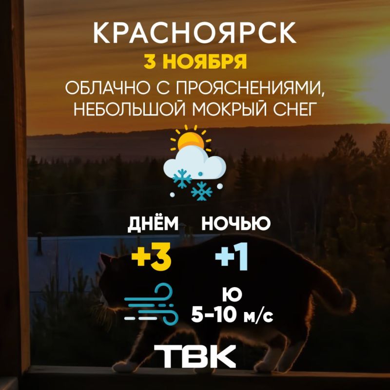 Погода на сегодня. ТВК