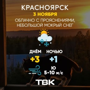 Погода на сегодня. ТВК