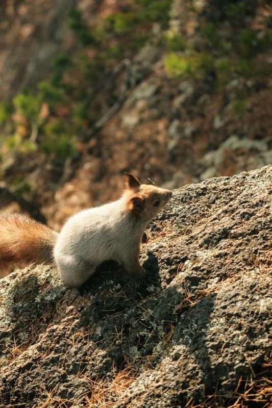Прогулки вблизи Красноярска
