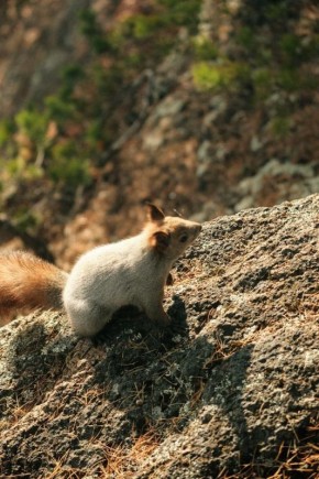 Прогулки вблизи Красноярска
