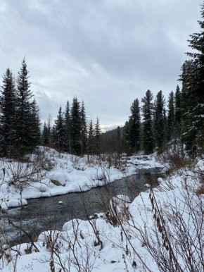 В природном парке Ергаки на юге Красноярского края отрыли горнолыжный сезон в первые выходные ноября