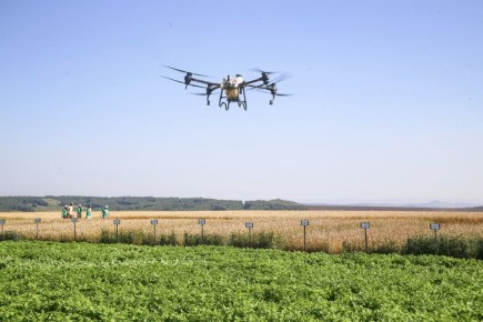 Аграрии Красноярского края завершают уборочную кампанию