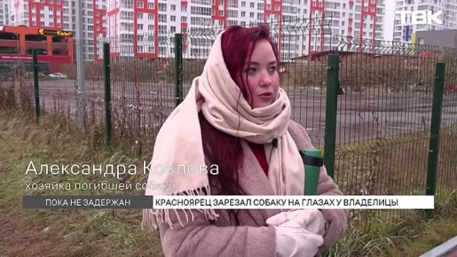 «Ася просто стоит, и у него хлещет кровь откуда-то – я не поняла сначала»