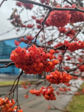 Доброе утро!. #ВестиКрасноярск