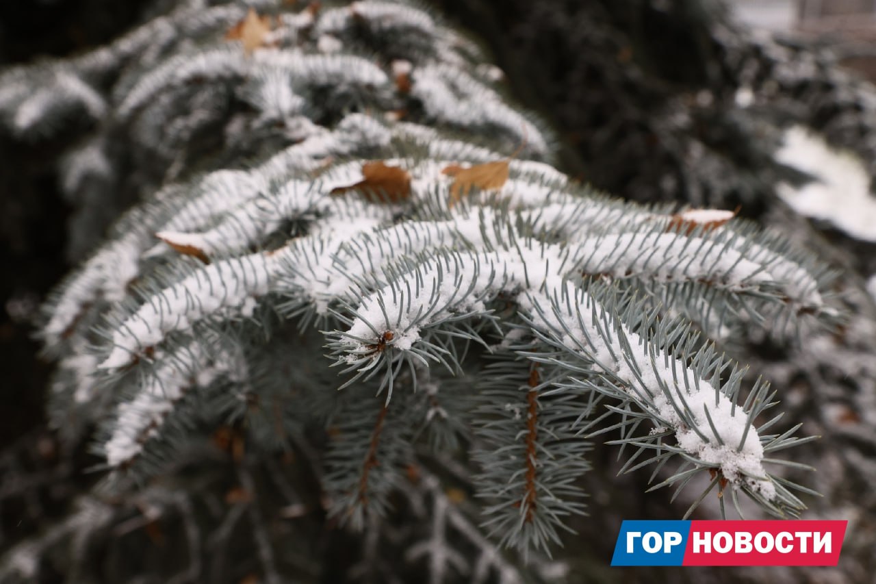 В Красноярск пришла зима. Сегодня ночью столбики термометров опустились ниже ноля и выпал снег В Красноярск пришла зима. Сегодня ночью столбики термометров опустились ниже ноля и выпал снег