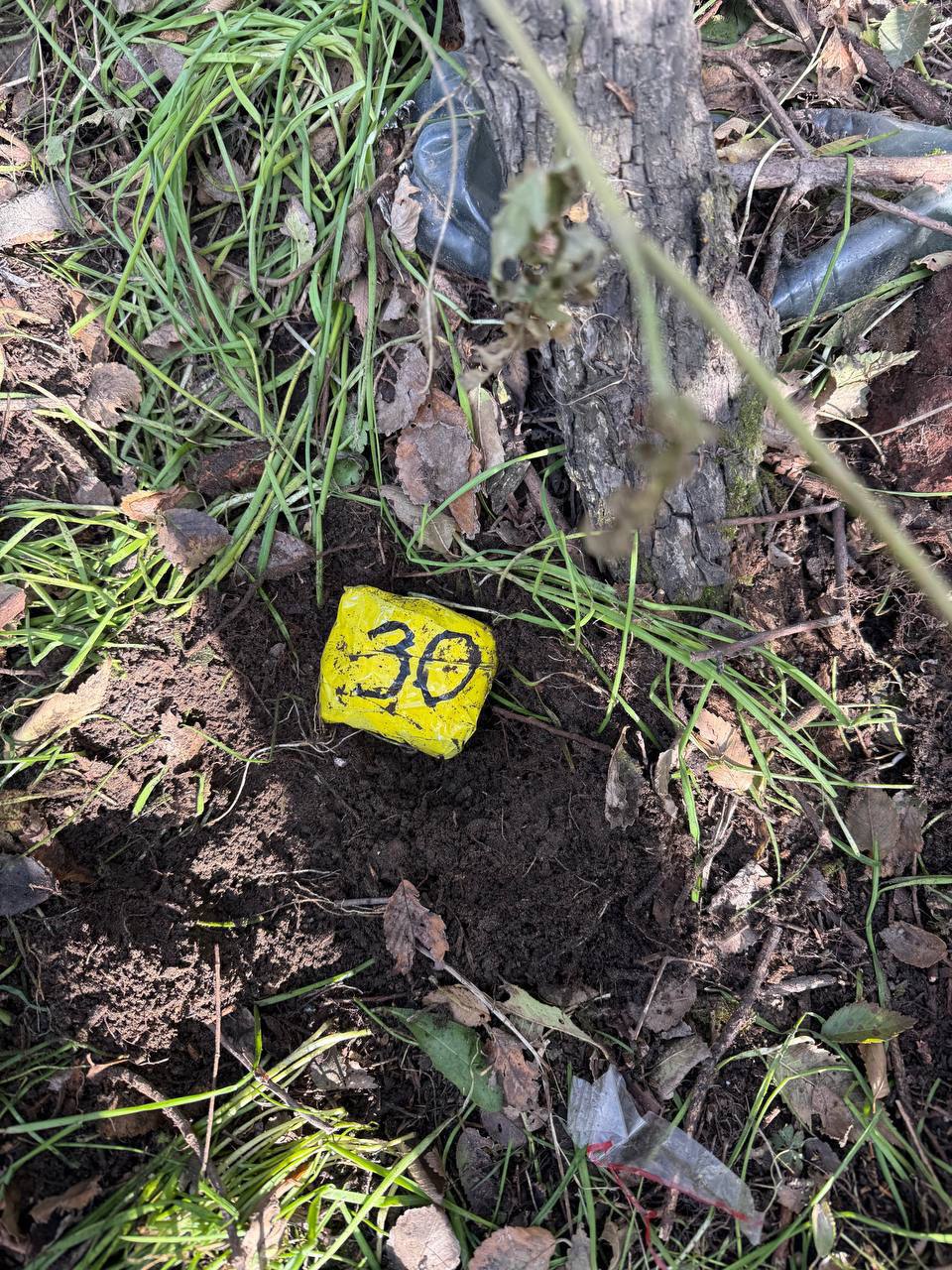 1234567 Красноярские полицейские задержали мужчину, подозреваемого в торговле «солями» 1234567 Красноярские полицейские задержали мужчину, подозреваемого в торговле «солями»