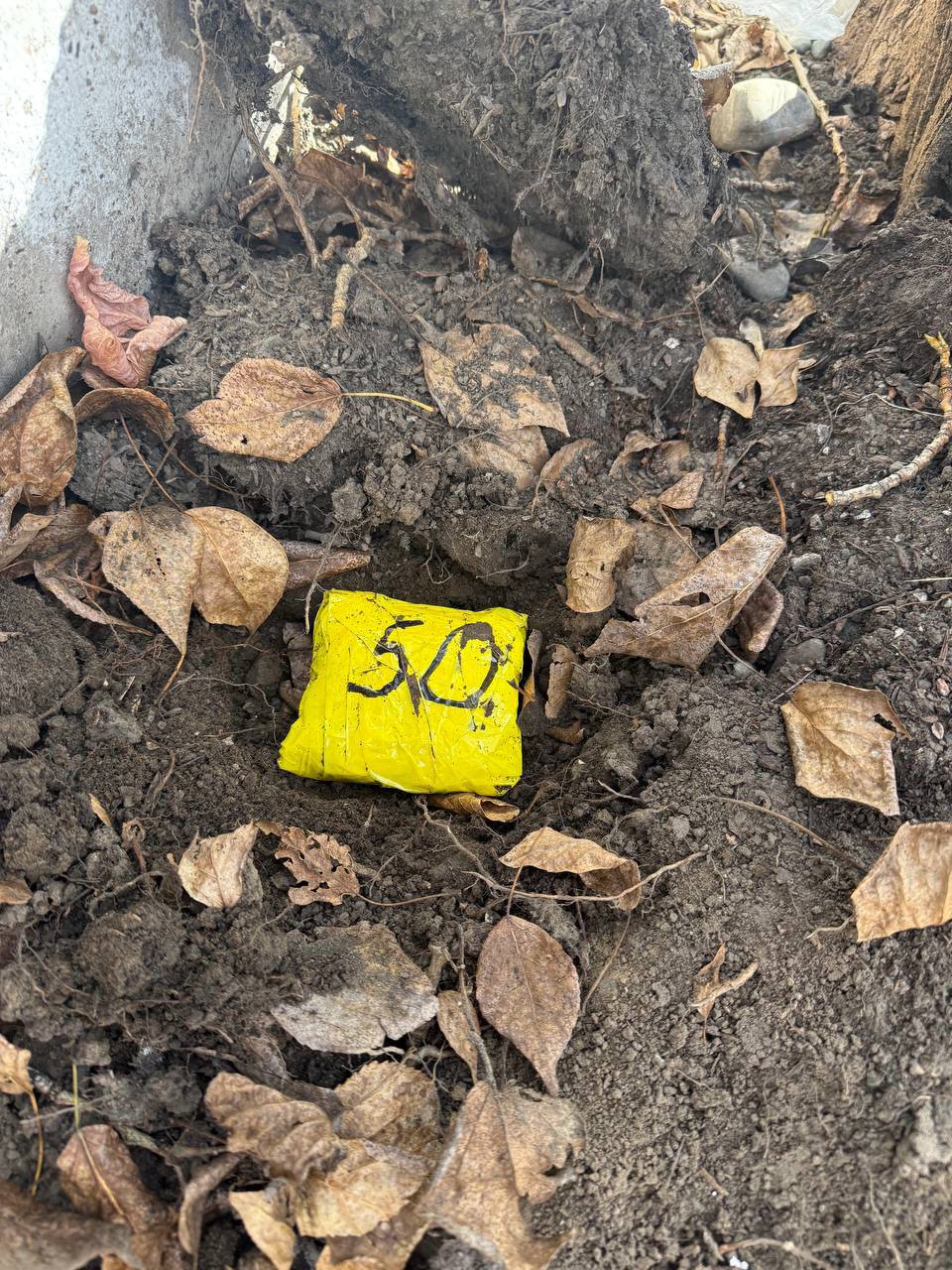 1234567 Красноярские полицейские задержали мужчину, подозреваемого в торговле «солями» 1234567 Красноярские полицейские задержали мужчину, подозреваемого в торговле «солями»