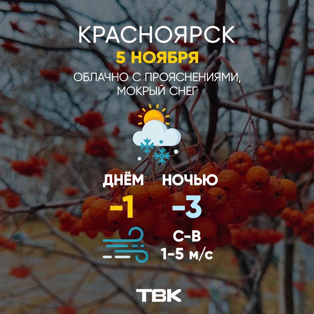 Погода на 5 ноября. ТВК