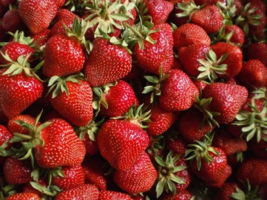 Какие факторы влияют на сладость клубники?