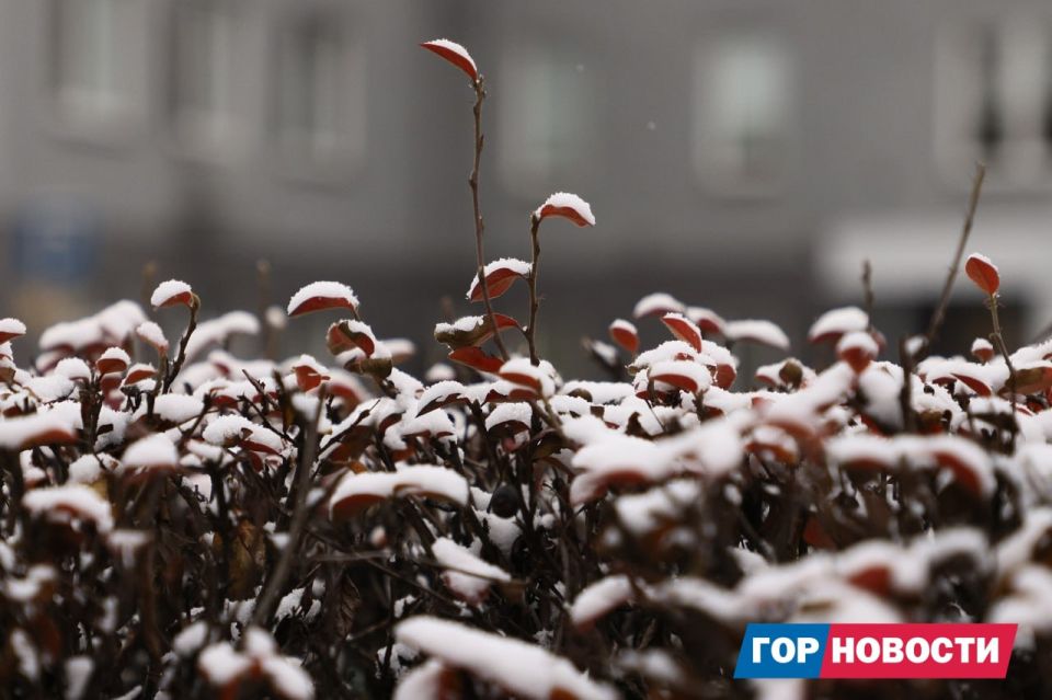 В Красноярск пришла зима. Сегодня ночью столбики термометров опустились ниже ноля и выпал снег В Красноярск пришла зима. Сегодня ночью столбики термометров опустились ниже ноля и выпал снег