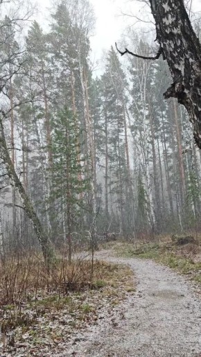 Погода на 7 ноября. ТВК