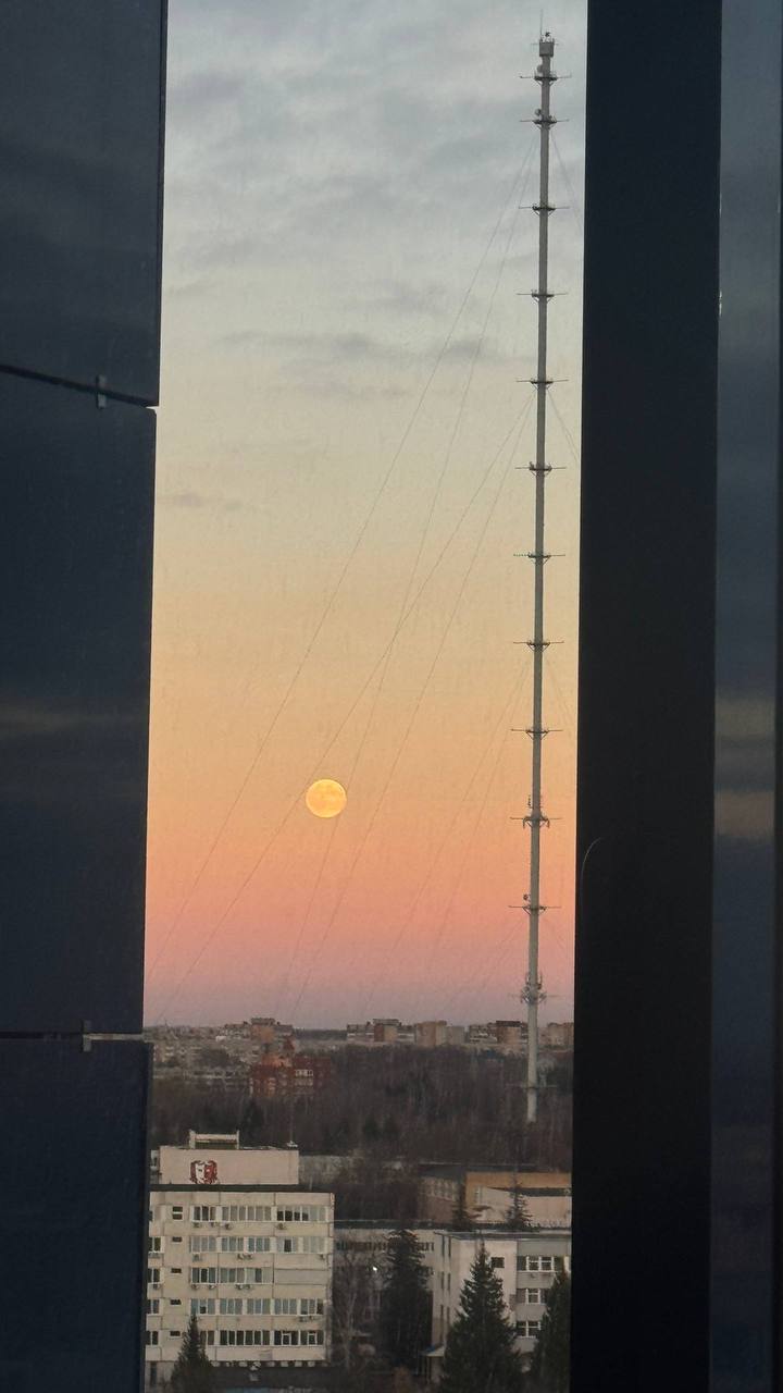 «Бобровая» суперлуна взошла над российскими городами «Бобровая» суперлуна взошла над российскими городами