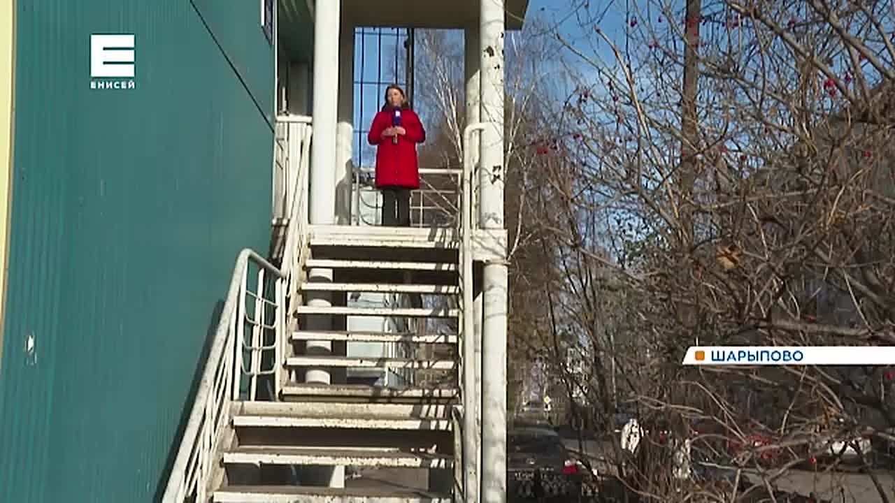 Шарыповские полицейские ищут дом спасенному ими коту