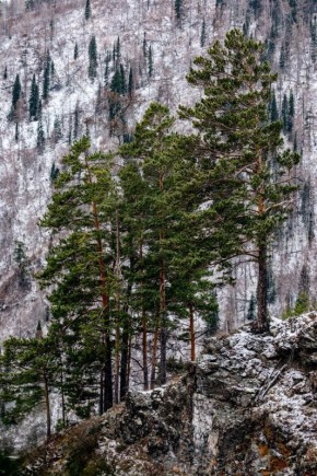 Усть-Манские скалы. Фото: Дмитрий Ширнин ТВК