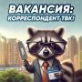 Работа на ТВК. Ищем корреспондента в «Новости ТВК»