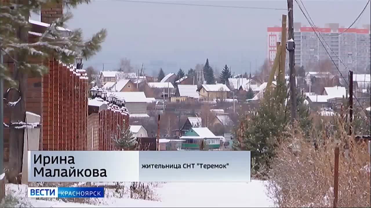 В посёлке, где загрызли мальчика, продолжают бродить собаки