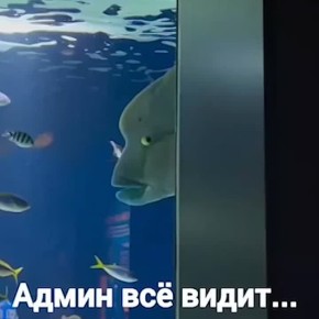 Чтобы и вы, и мы жили спокойно, ознакомьтесь с правилами чата